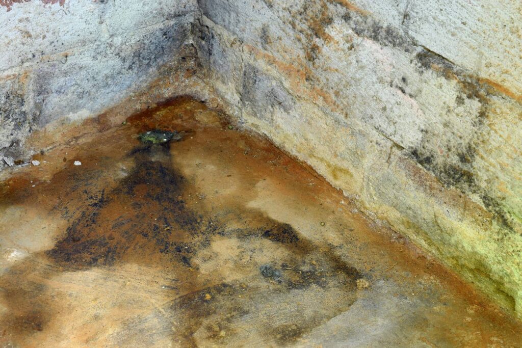 Mold in basement