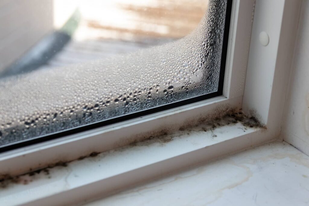 Mold growth on a window sill. 