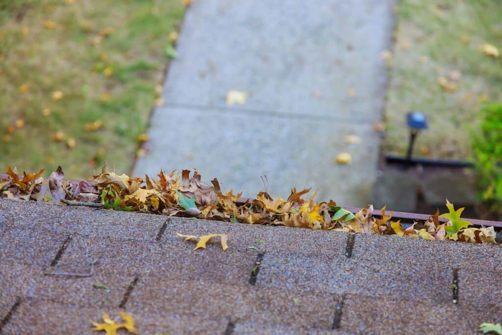 High-angle view of a residential gutter clogged with dry autumn leaves along the edge of an asphalt shingle roof.