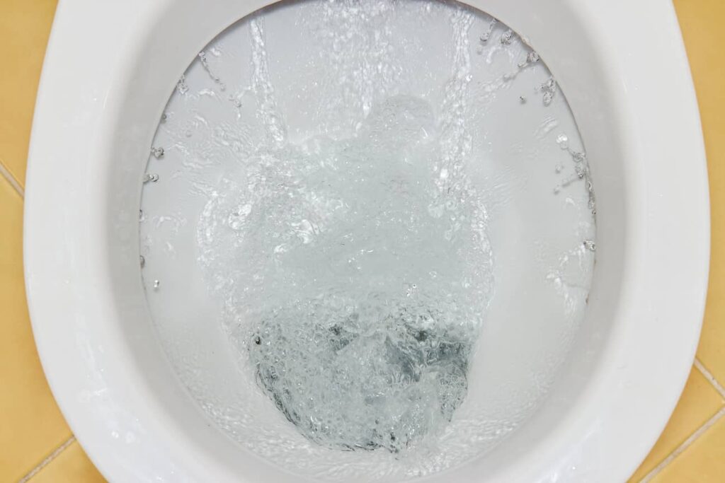 Use a gallon of water to flush your toilet that does not have running water. 