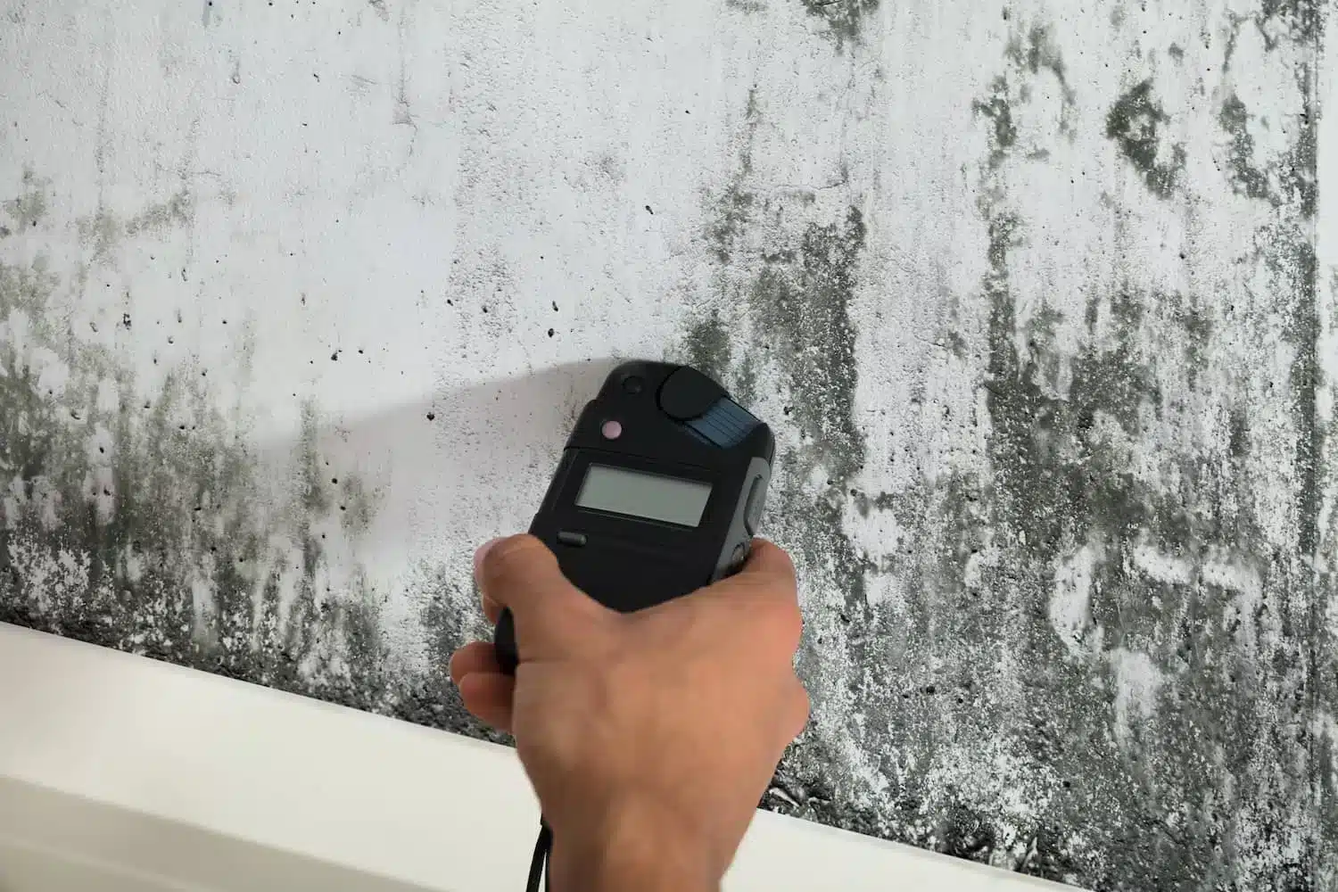 Mold-Testing