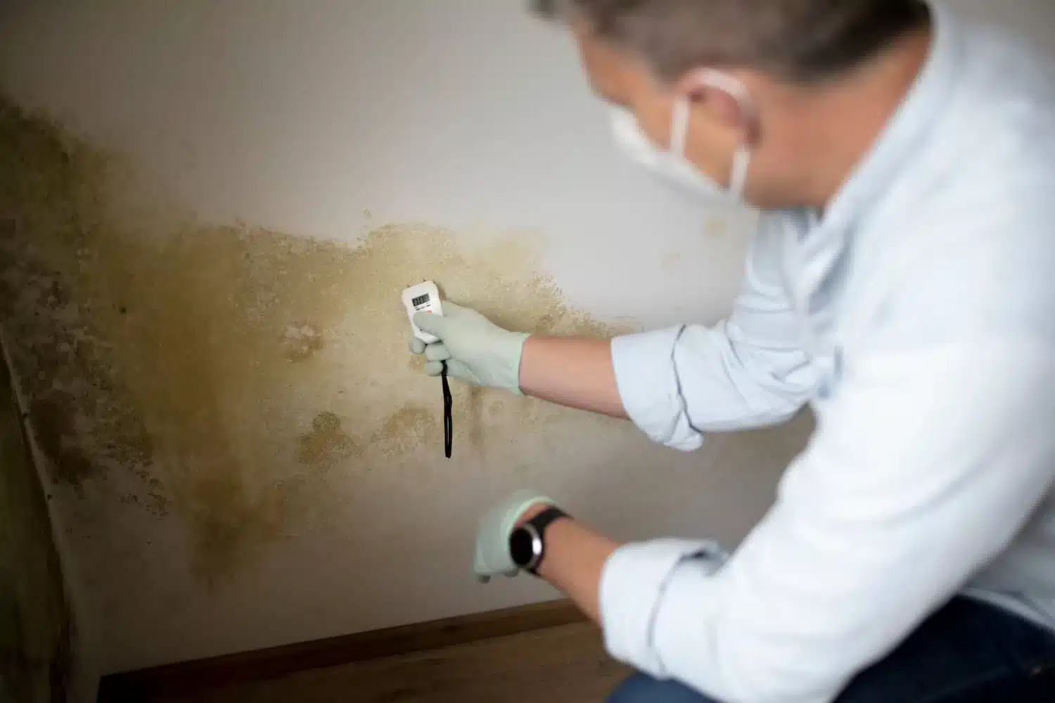 Mold-Testing-inside-home.jpeg