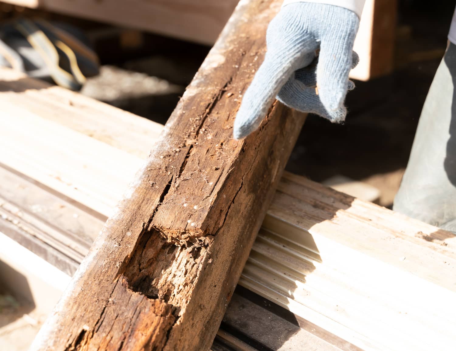 Termite Inspection Harrisburg PA