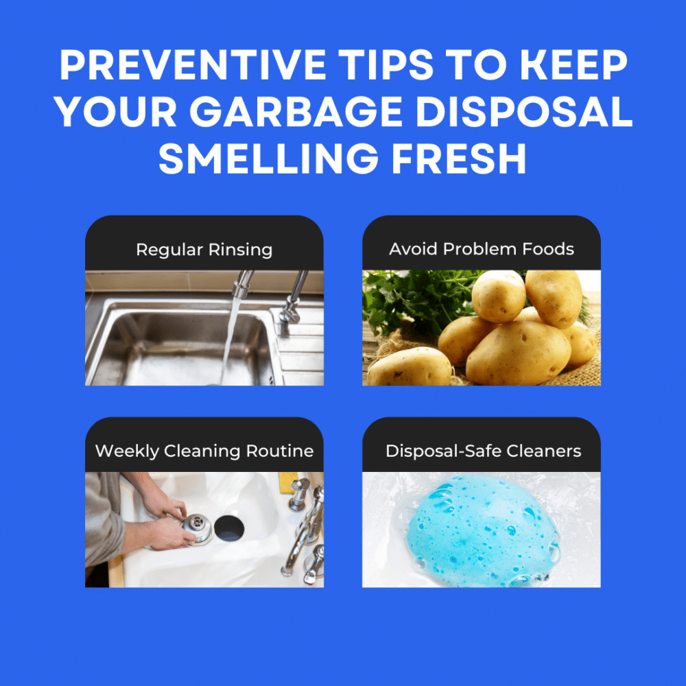 How to Banish Garbage Disposal Smells Enviroquest
