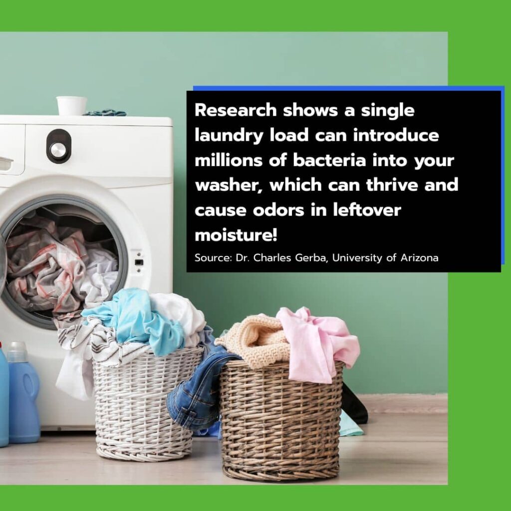 Laundry load can introduce millions of bacteria into your washer