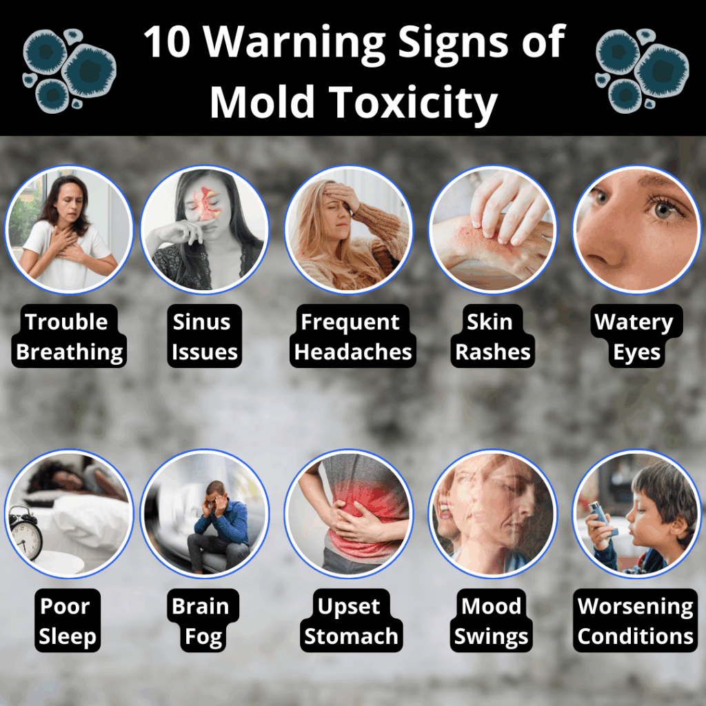 10 warning signs of mold toxicity