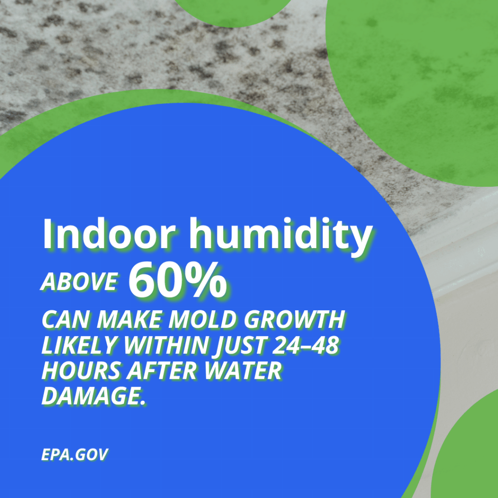 mold toxicity prevention tips for home owners