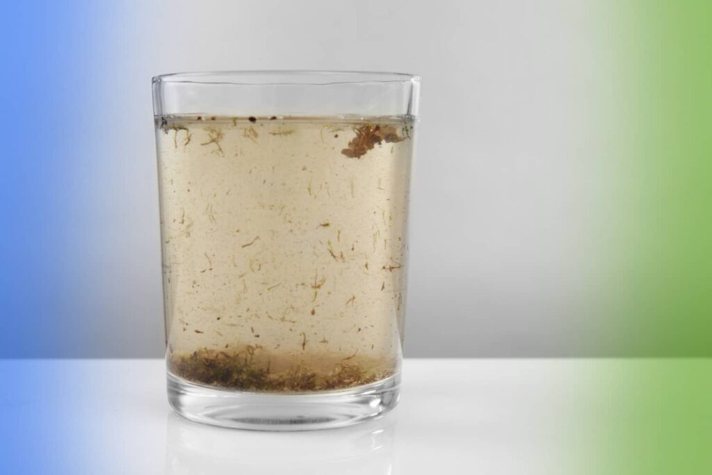 A clear glass filled with murky, discolored water containing floating particles of debris and a layer of dark sediment settled at the bottom.