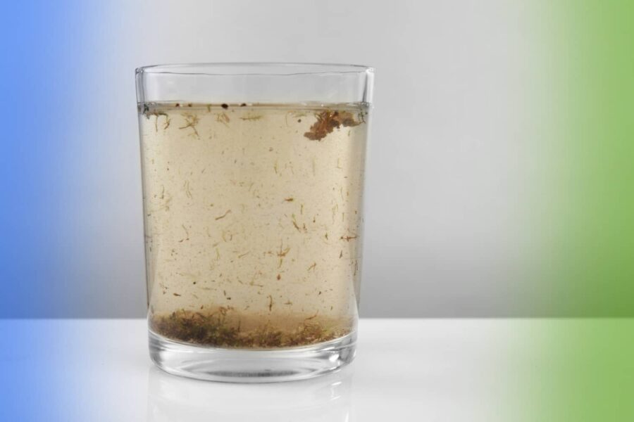 A clear glass filled with murky, discolored water containing floating particles of debris and a layer of dark sediment settled at the bottom.